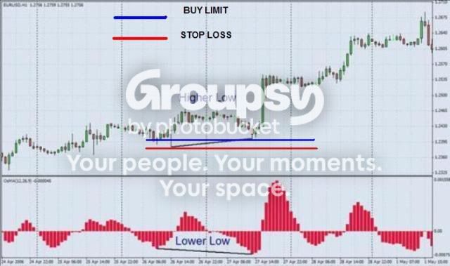 HDBULLTRADE.jpg