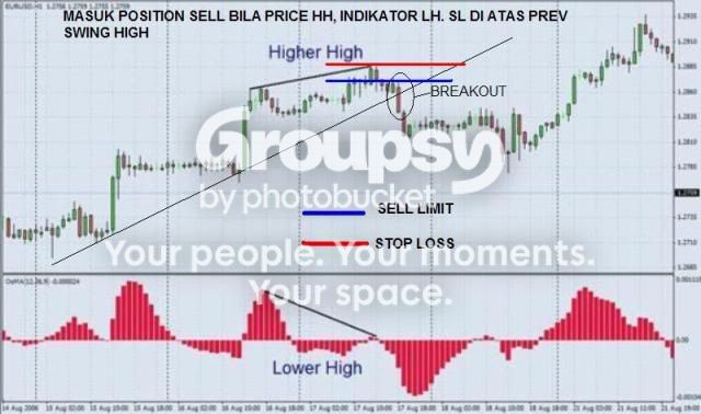 RDBEARTRADE-1.jpg