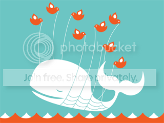 fail whale Pictures, Images and Photos