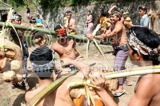 Banana War - Indonesia